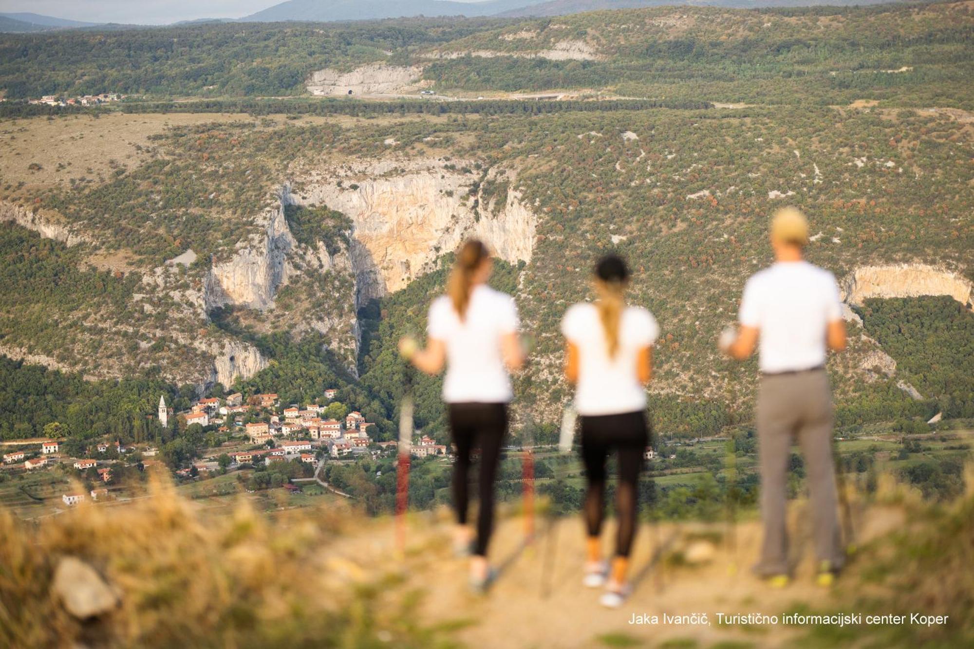Apartments Souranded By Forest With Sea View Κόπερ Εξωτερικό φωτογραφία