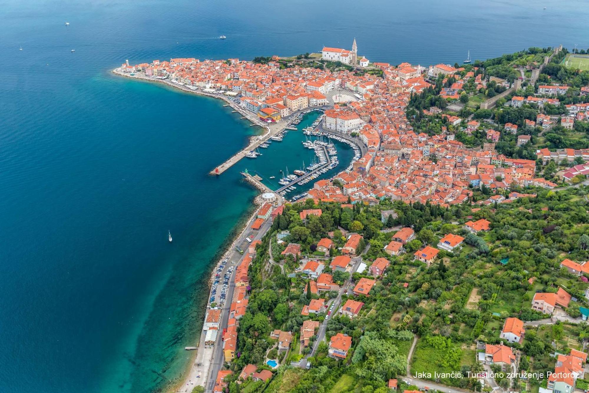 Apartments Souranded By Forest With Sea View Κόπερ Εξωτερικό φωτογραφία