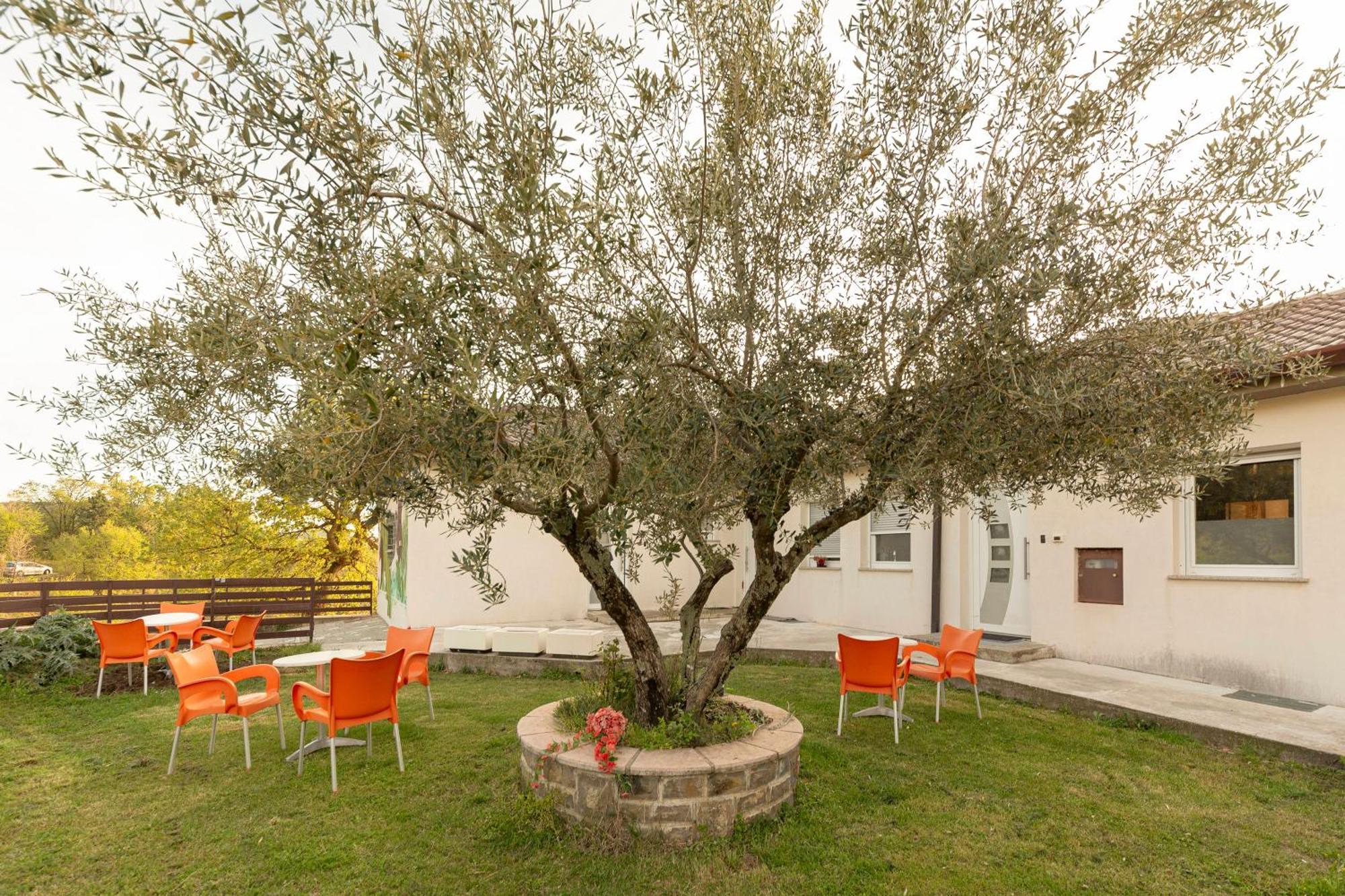 Apartments Souranded By Forest With Sea View Κόπερ Εξωτερικό φωτογραφία