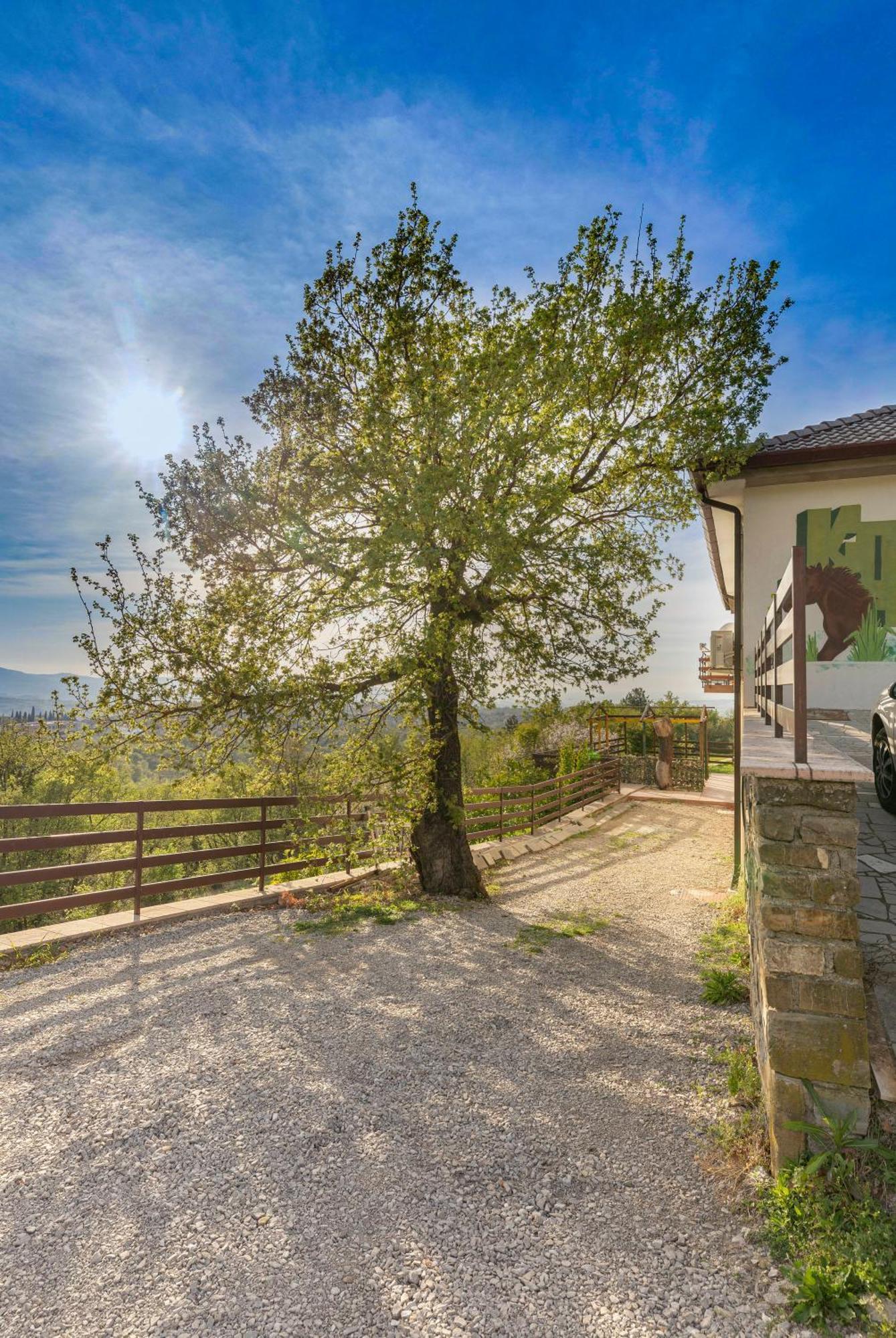 Apartments Souranded By Forest With Sea View Κόπερ Εξωτερικό φωτογραφία